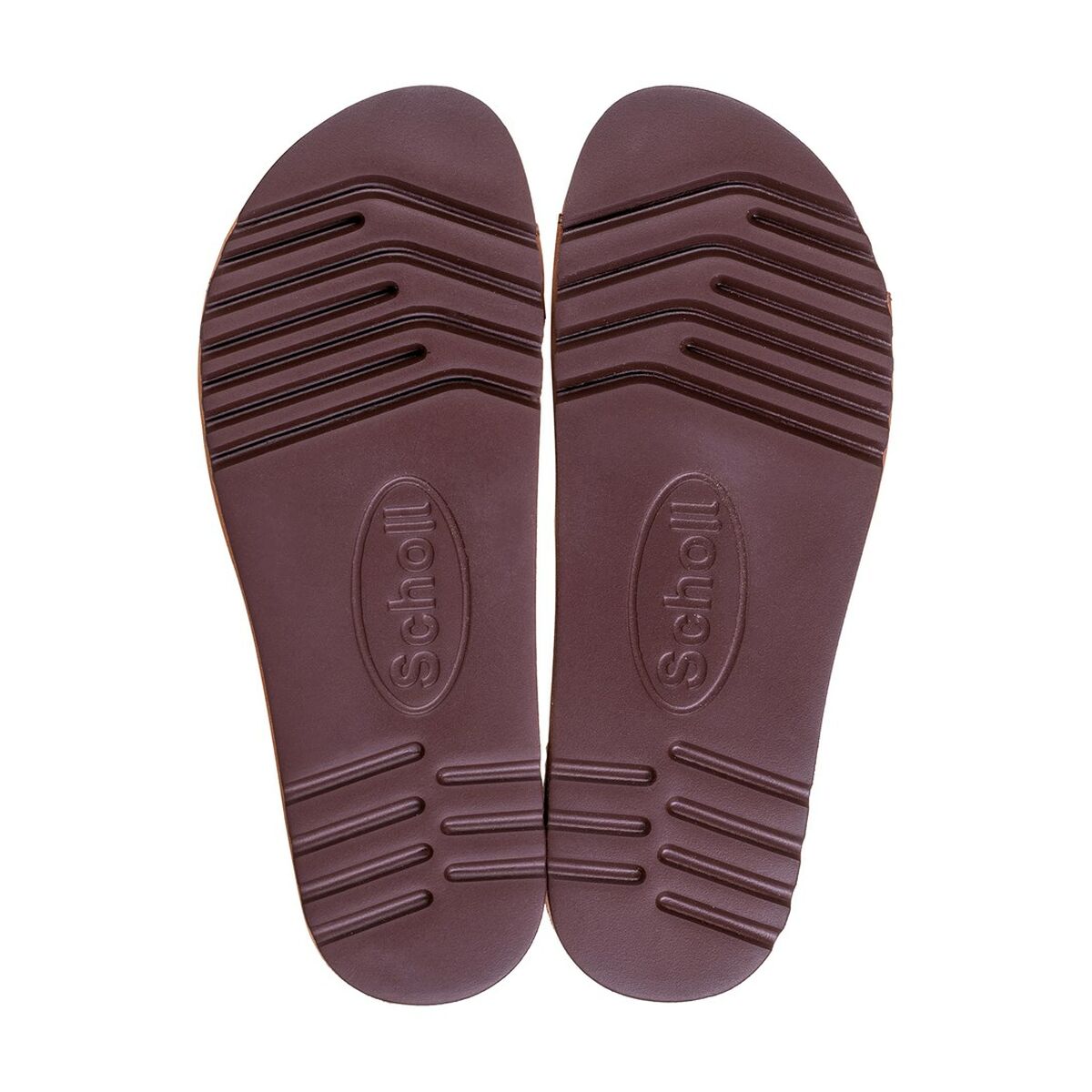 Chanclas Scholl PRS014BEZ46