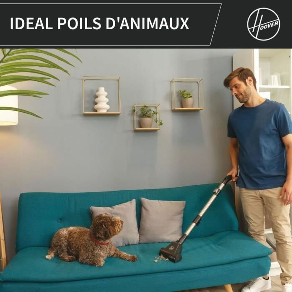 Aspirador Hoover HP321PAF Gris 850 W