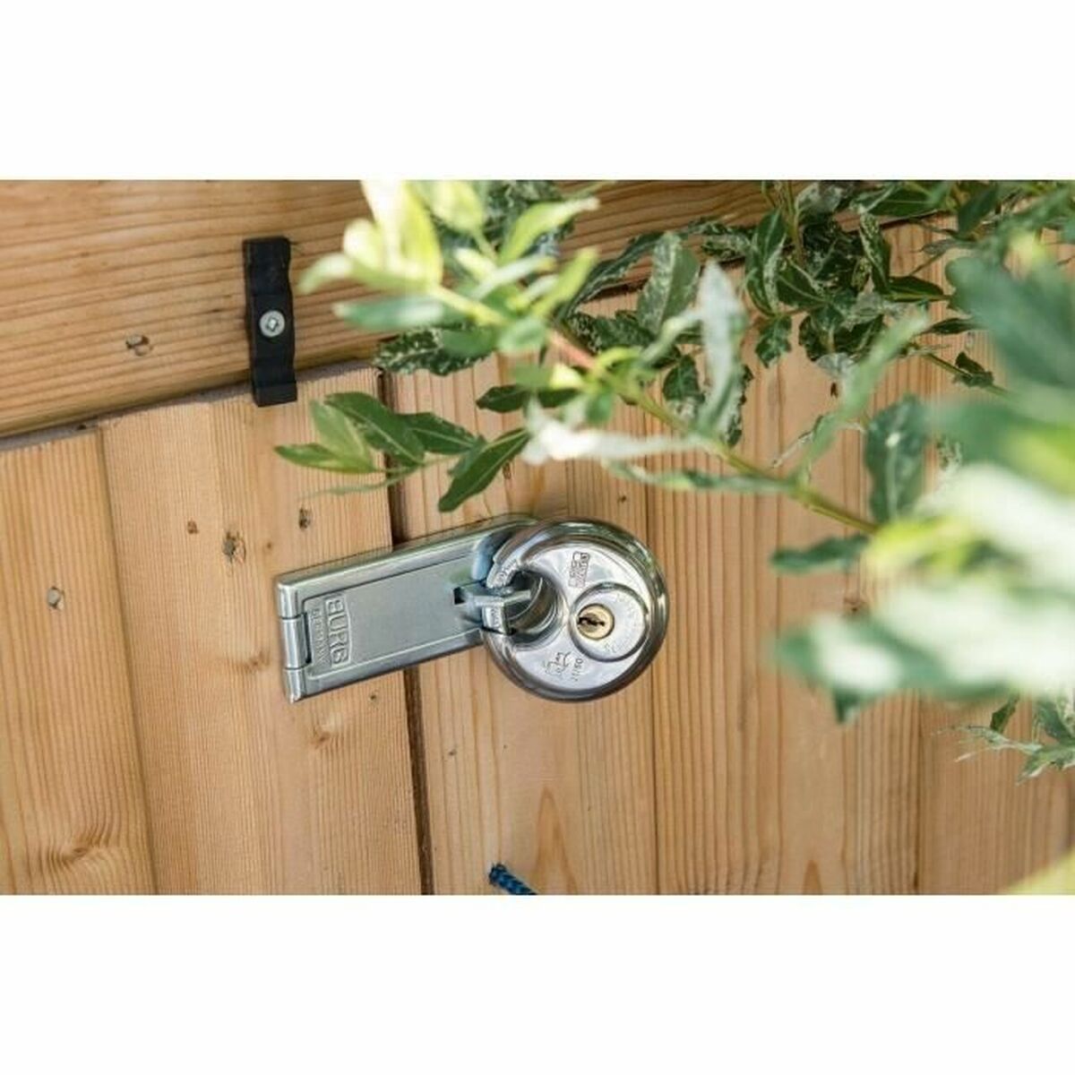 Candado de llave Burg-Wachter 21 70 SB Acero Inoxidable