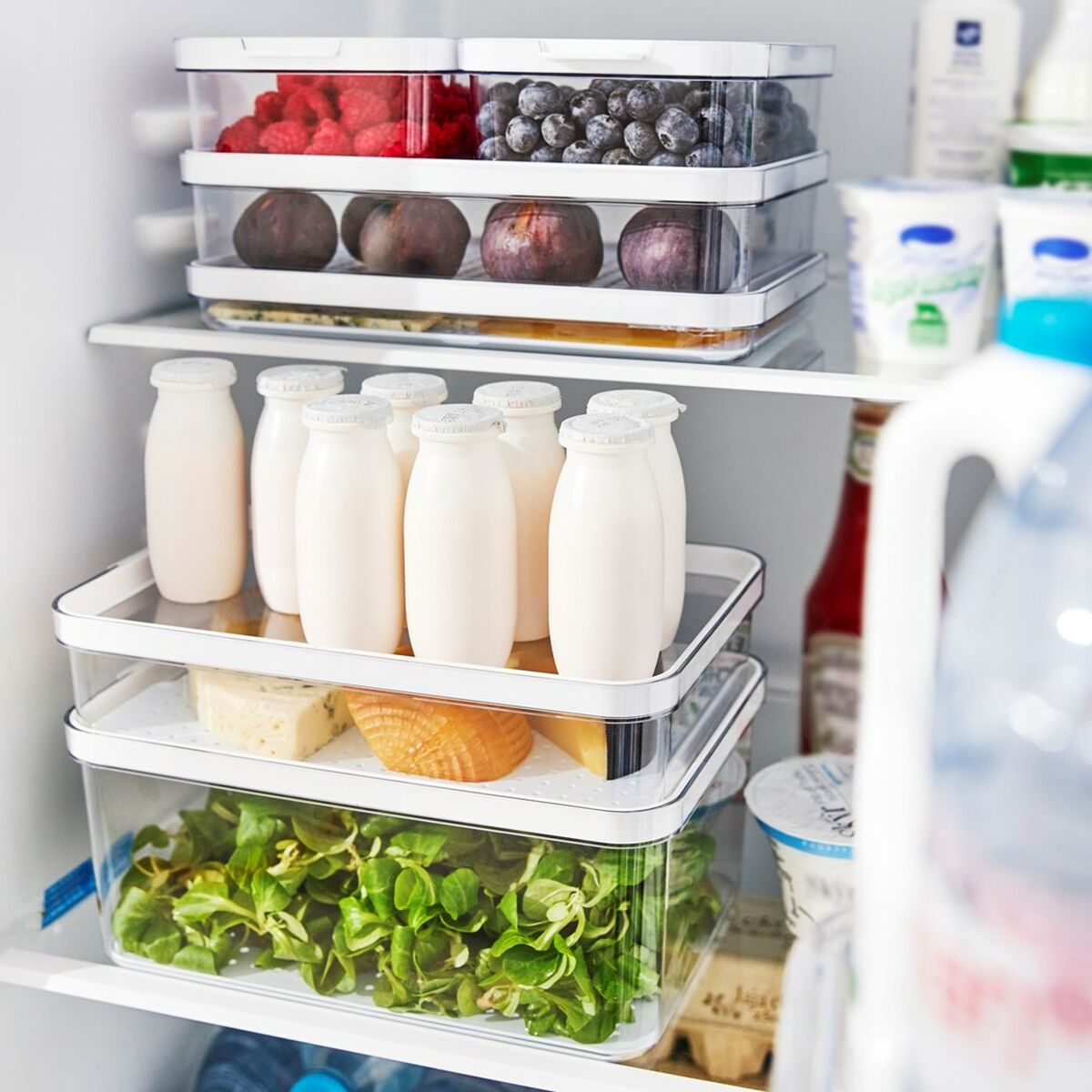 Recipiente Conservador de Alimentos Rotho Rondo Cauma Blanco Transparente 1,2 L