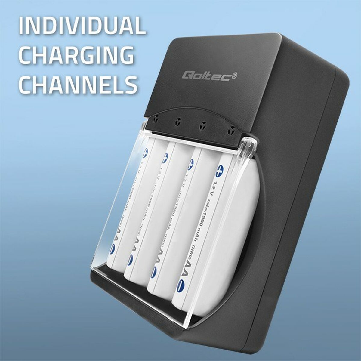 Cargador de Pilas Qoltec 50653