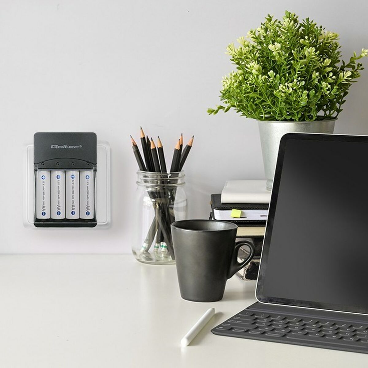 Cargador de Pilas Qoltec 50653