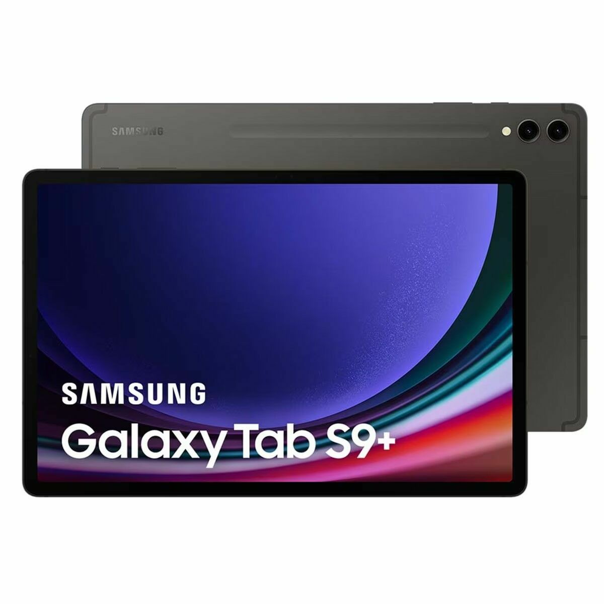 Tablet Samsung S9+ 12,4" 12 GB RAM 256 GB Acero