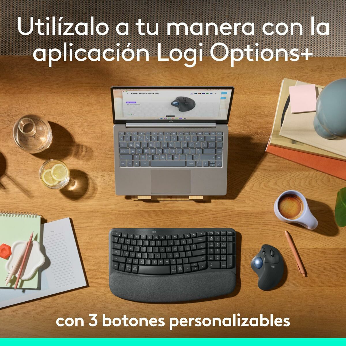 Ratón Logitech 910-007029