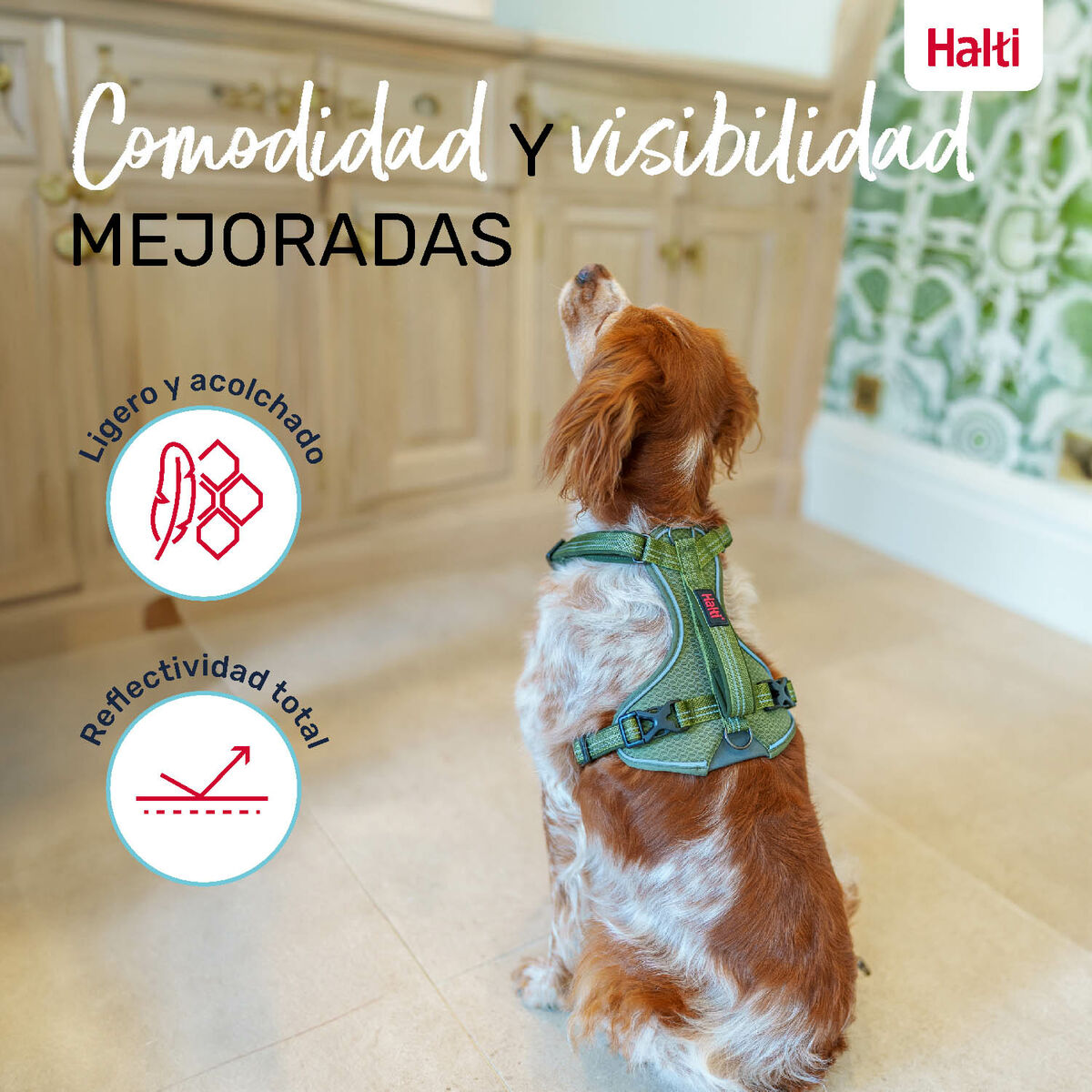 Arnés para Perro Company of Animals Verde XL 50-78 cm