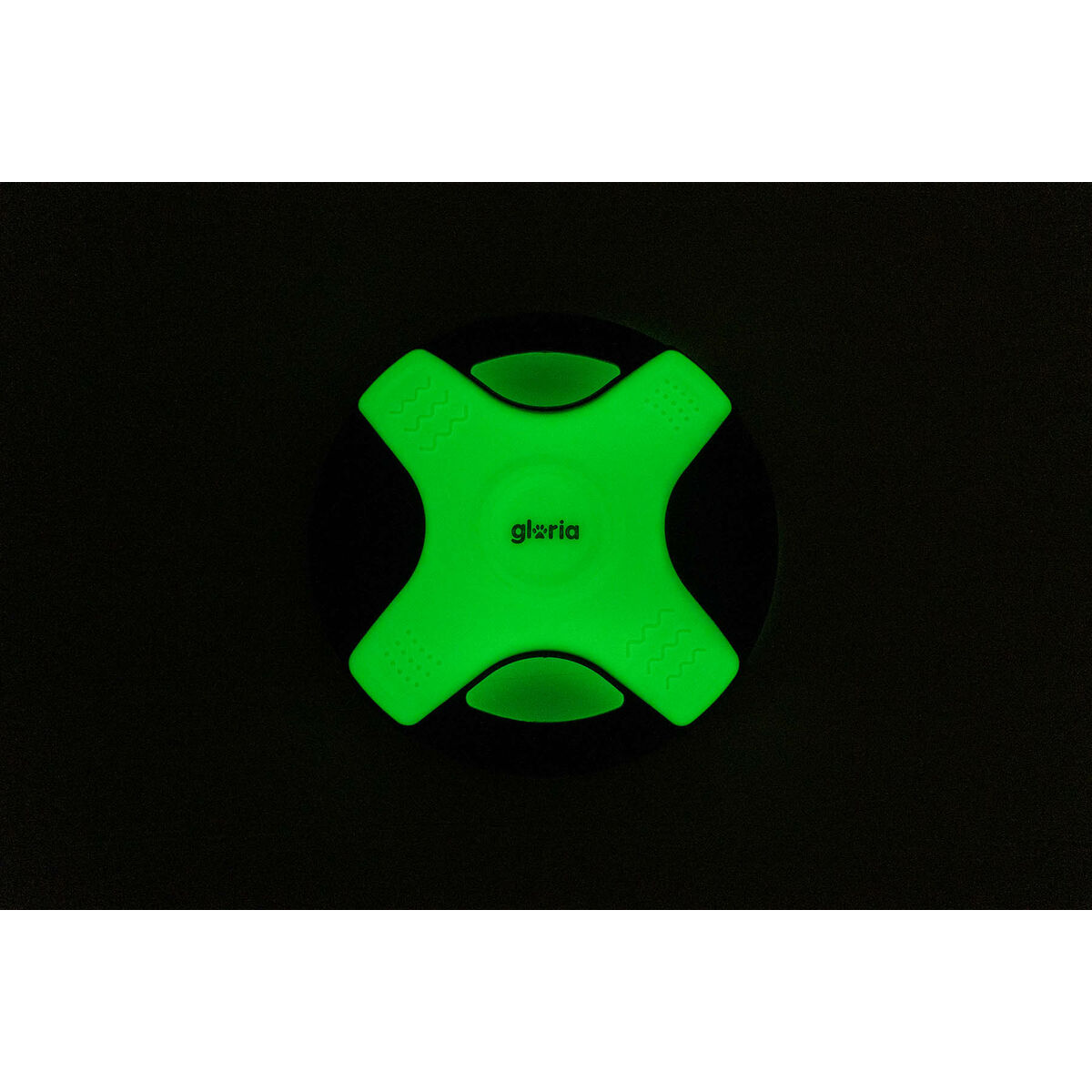 Frisbee Gloria Blanco TPR 25 cm