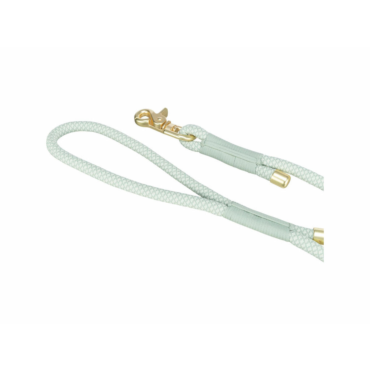 Correa para Perro Trixie