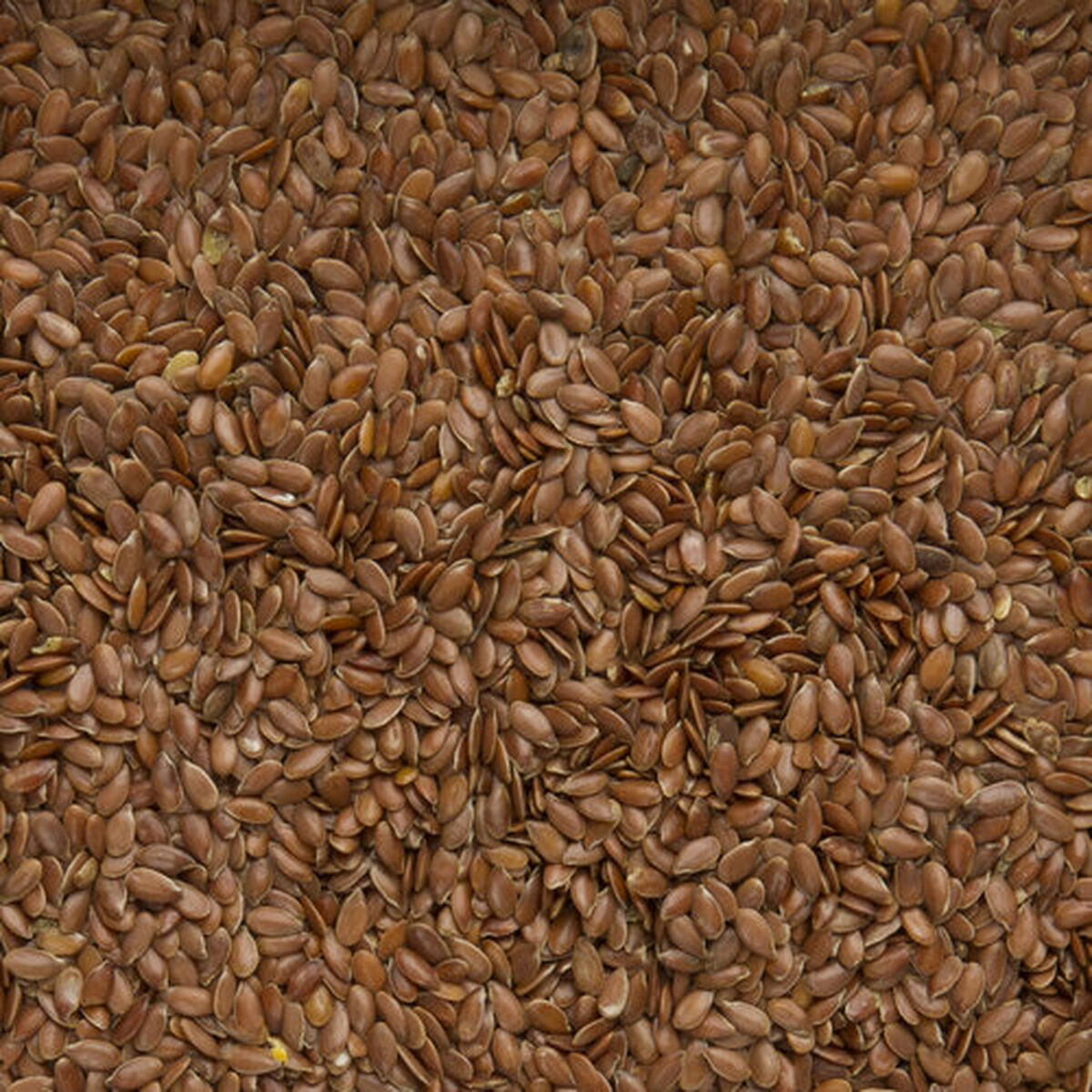 Comida para pájaros Deli Nature Premium