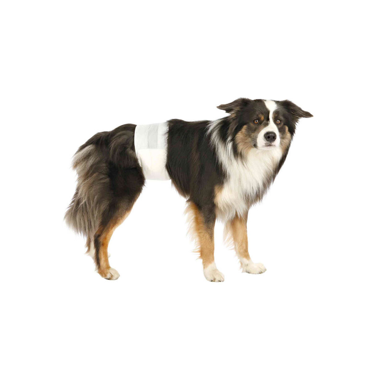 Pañales Trixie 23641