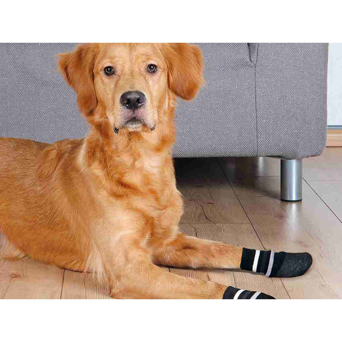 Calcetines Trixie Negro M/L Perro