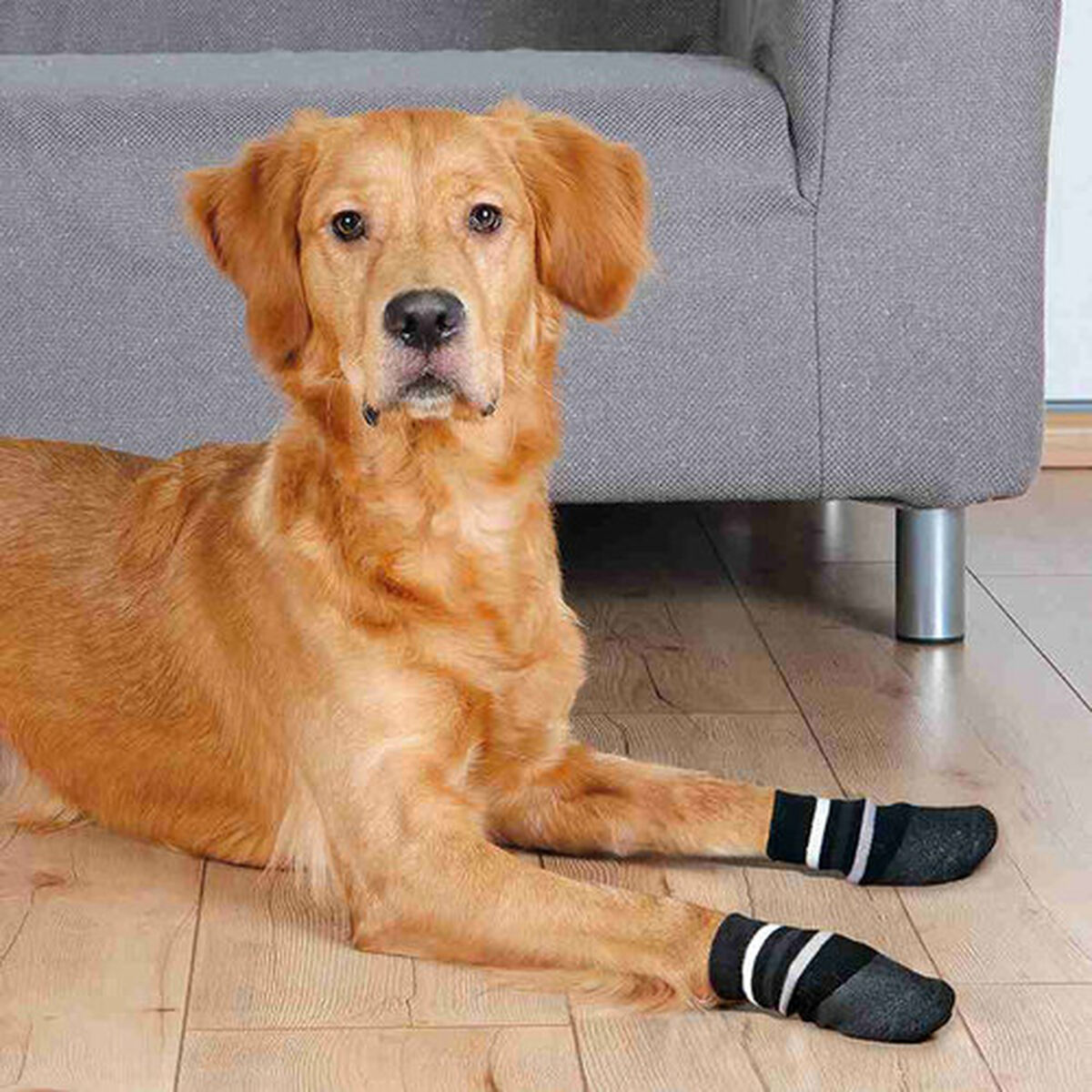 Calcetines Trixie Negro S/M Perro