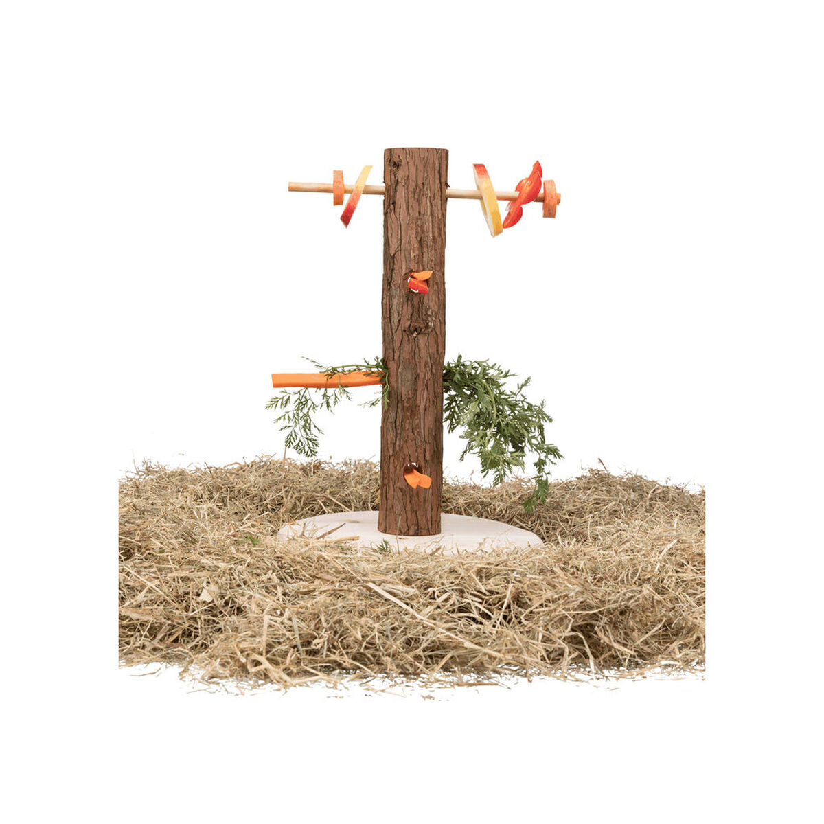 Comedero Trixie Ø 25 × 36 CM