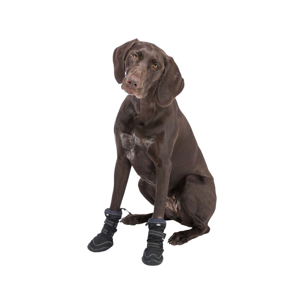 Andador de protección de patas Trixie Negro S