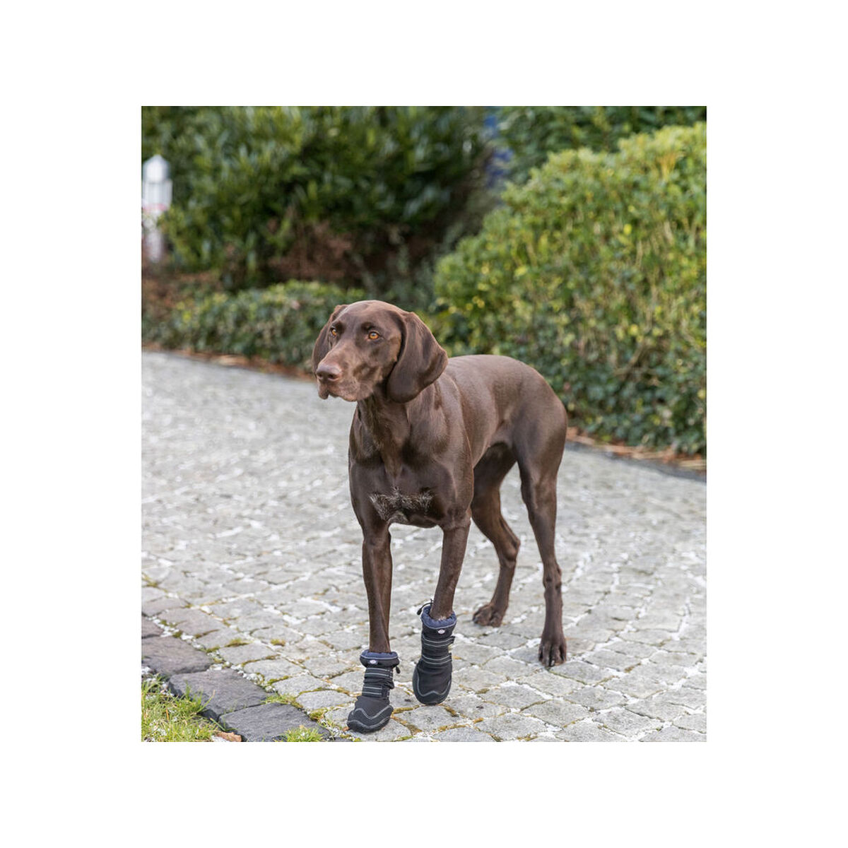 Andador de protección de patas Trixie Negro L