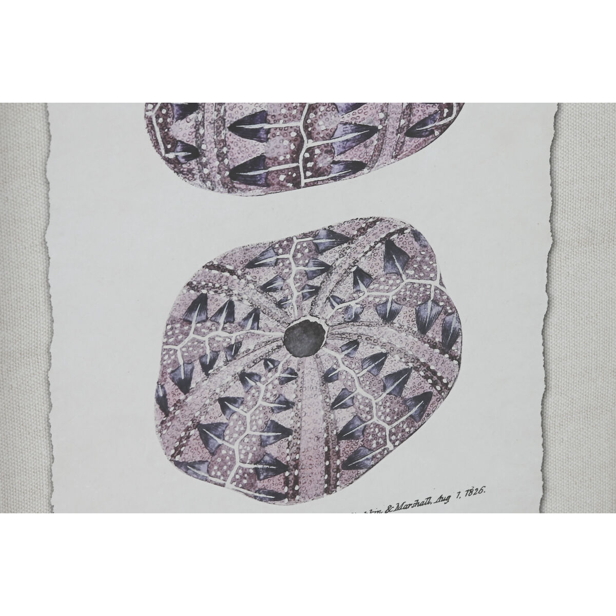 Cuadro Home ESPRIT Cristal Abeto 35 x 2 x 45 cm