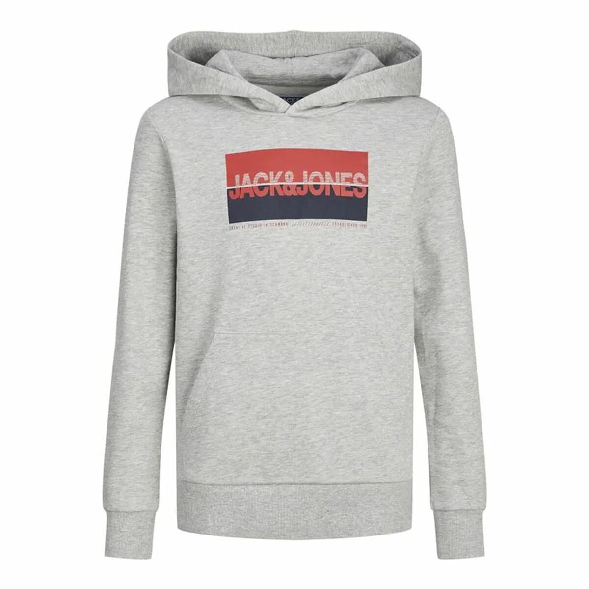 Sudadera con Capucha Hombre Jack & Jones Jjnolan Gris