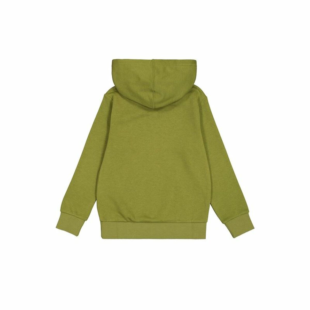 Sudadera con Capucha Hombre Champion Verde