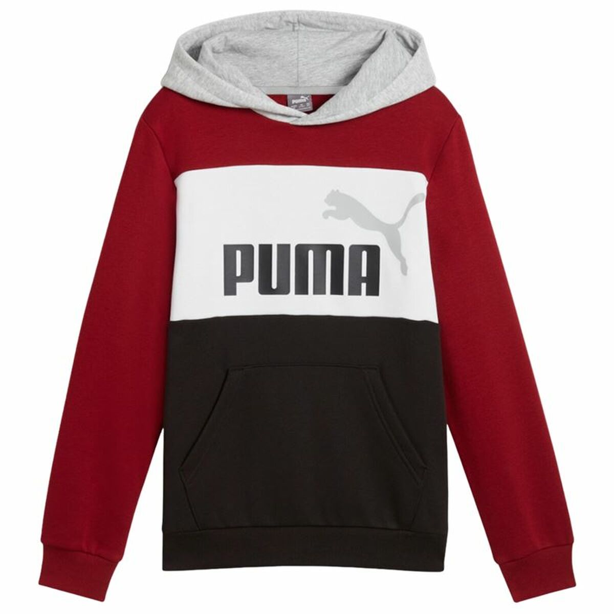 Sudadera con Capucha Niño Puma Essentials Block