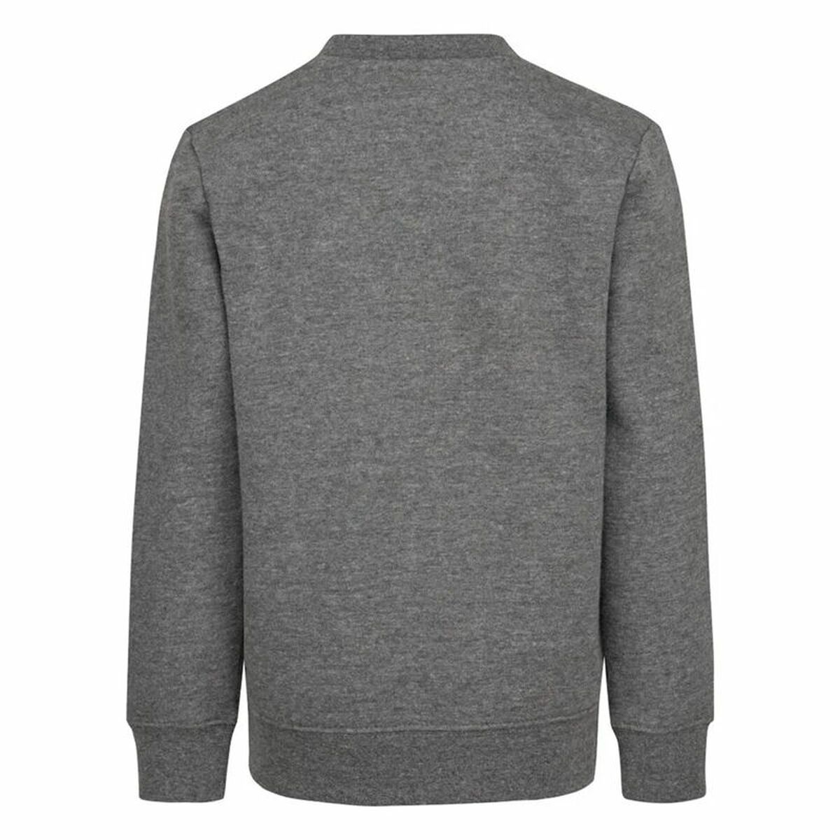 Sudadera sin Capucha Niño Nike Gris