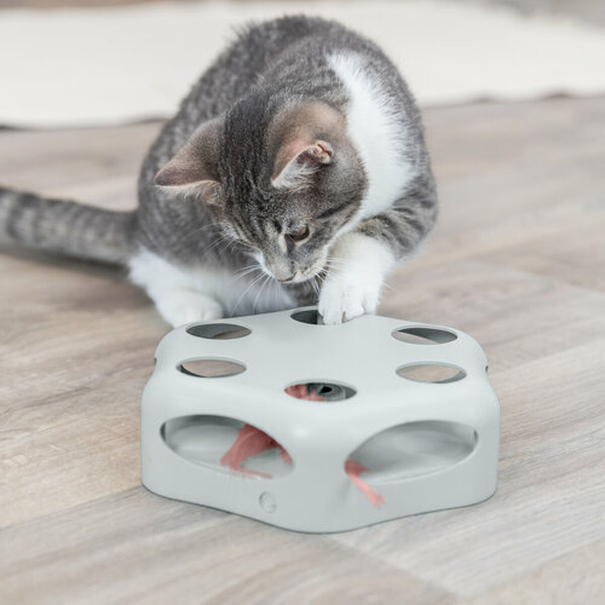 Juguete para gatos Trixie Gris Plástico Ø 22 cm