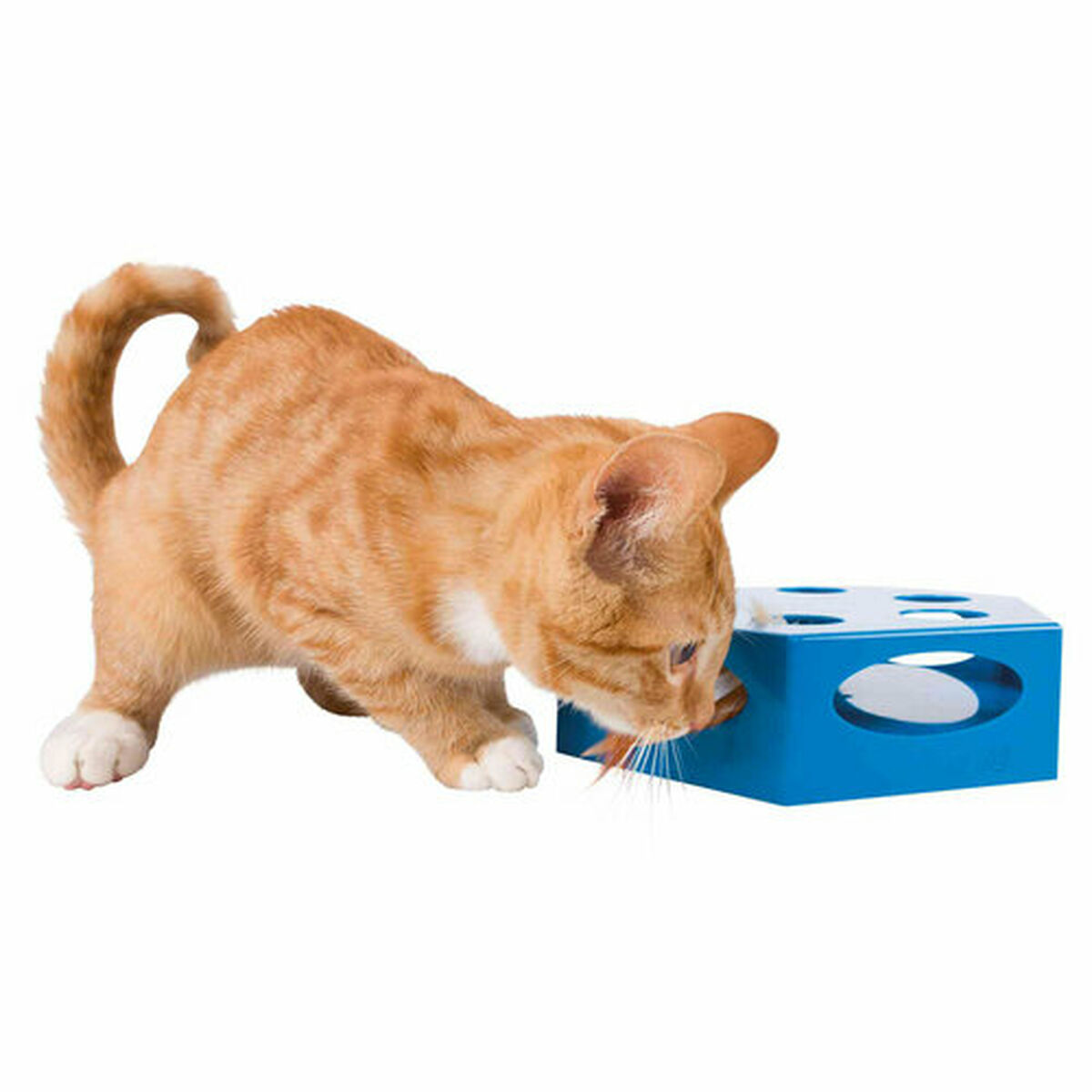 Juguete para gatos Trixie Gris Plástico Ø 22 cm