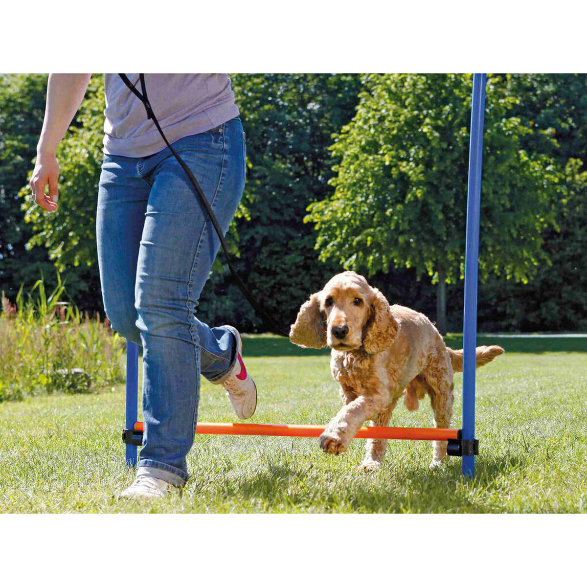 Juguete de adiestramiento Trixie