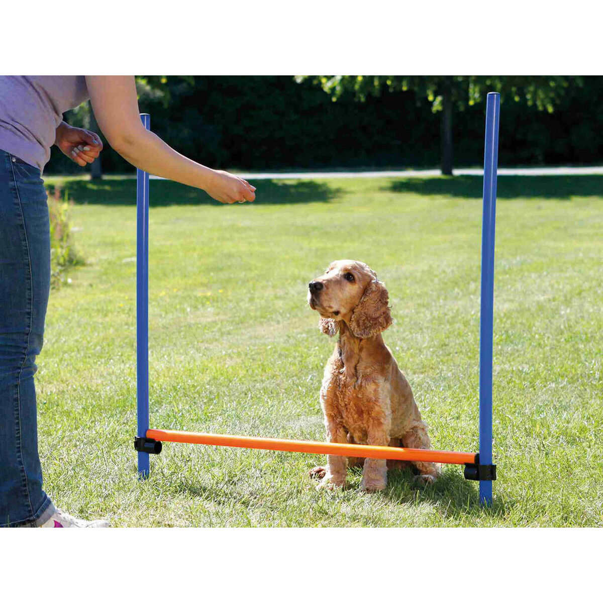 Juguete de adiestramiento Trixie