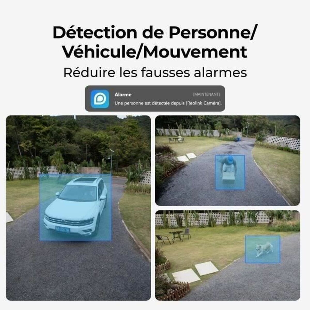 Videocámara de Vigilancia Reolink