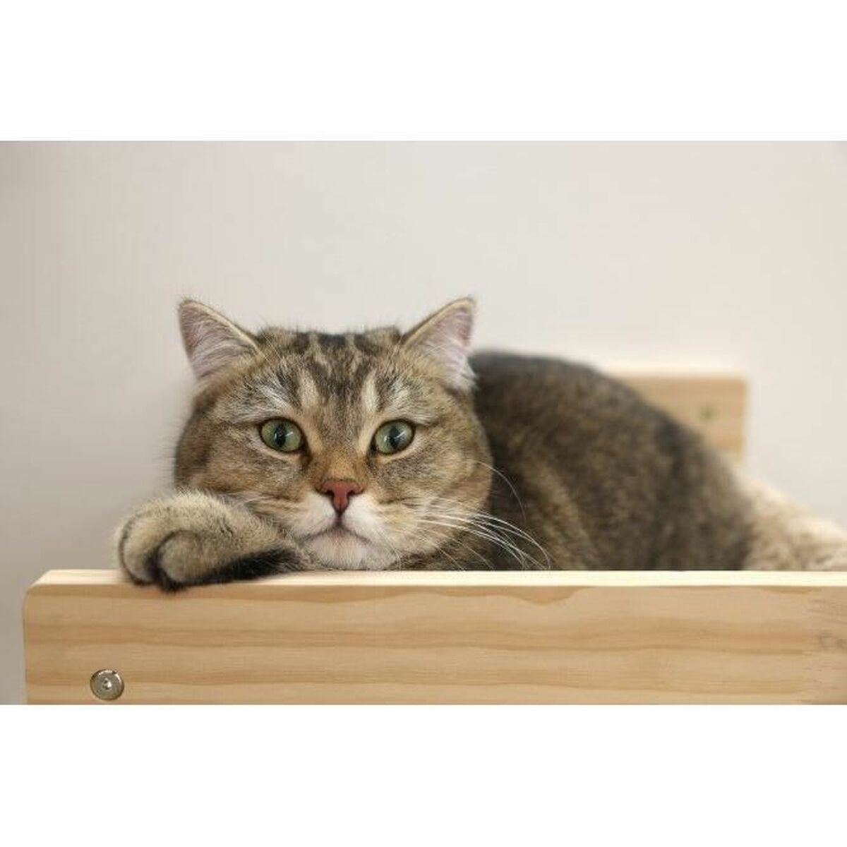 Cama para Gato Kerbl TIMBER Beige