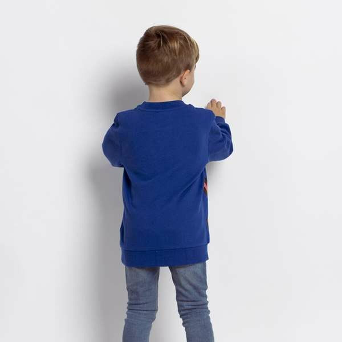 Sudadera Infantil The Paw Patrol Azul