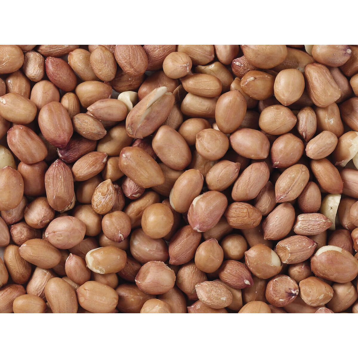 Comida para pájaros Deli Nature Premium 3 Kg