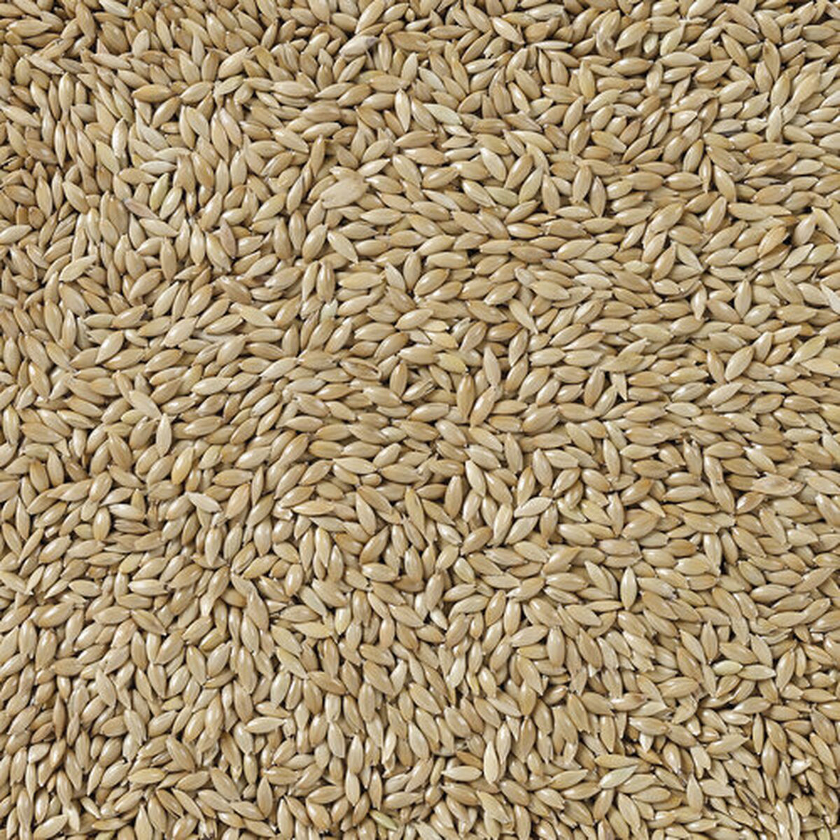 Comida para pájaros Deli Nature Premium 5 kg