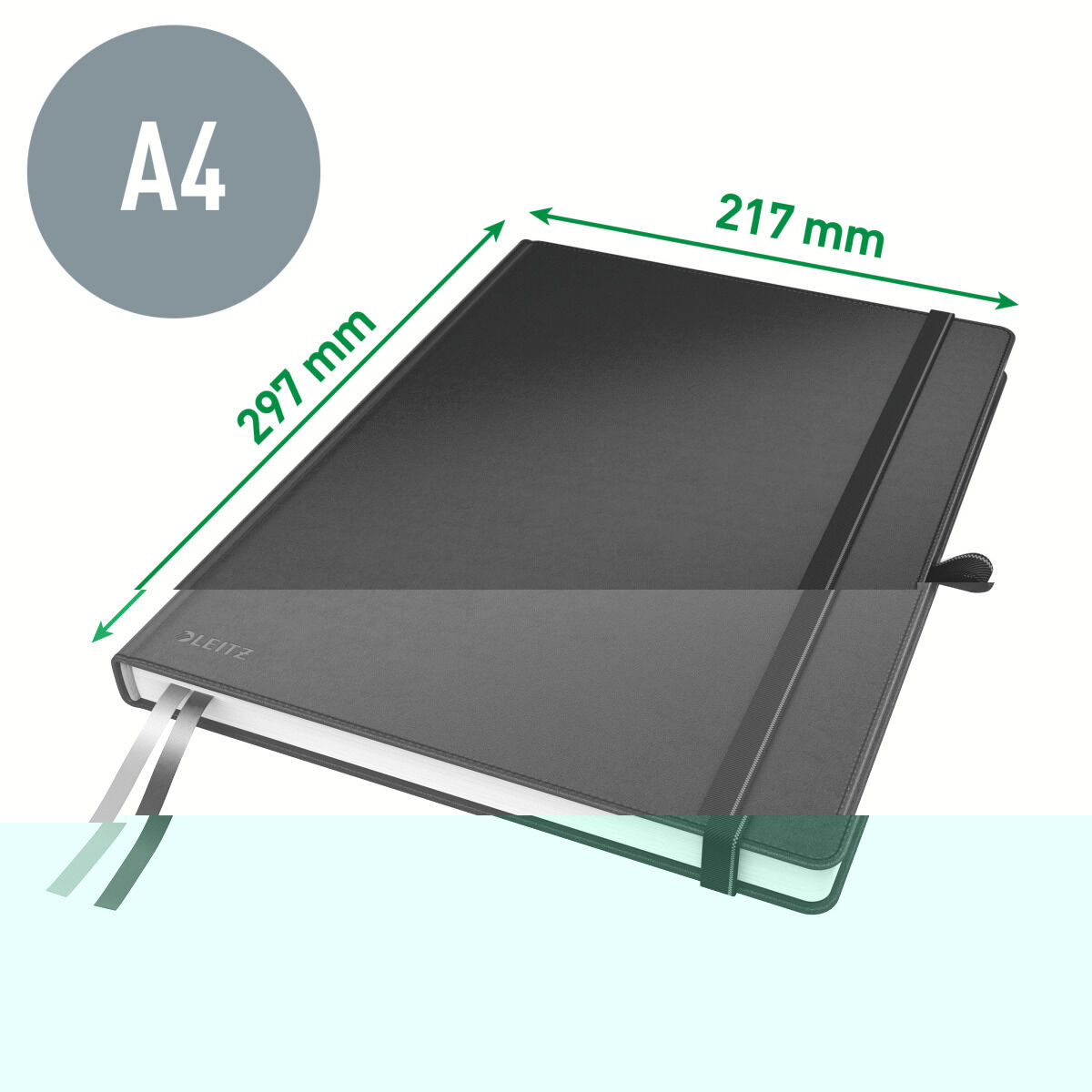 Plastificadora Leitz Negro A4