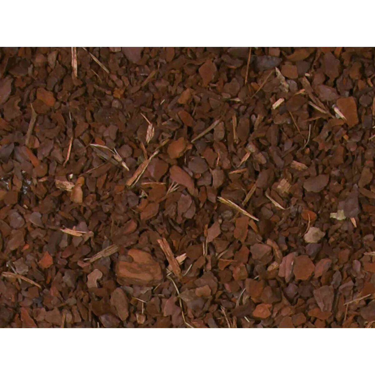 Cortezas de Pino Trixie 10 L