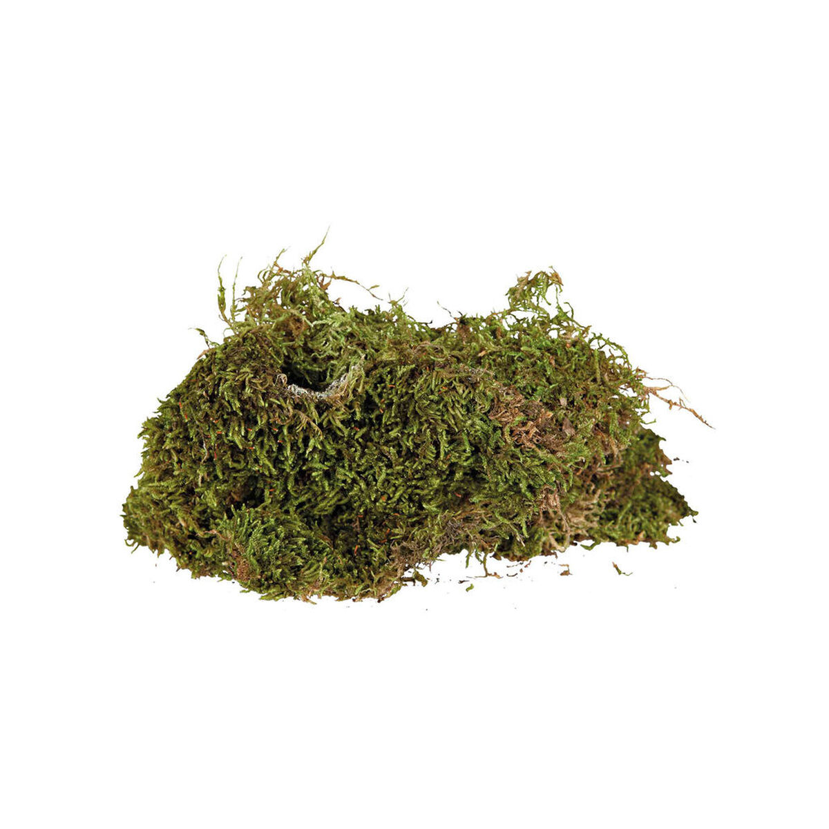 Sustrato Trixie 200 gr Musgo