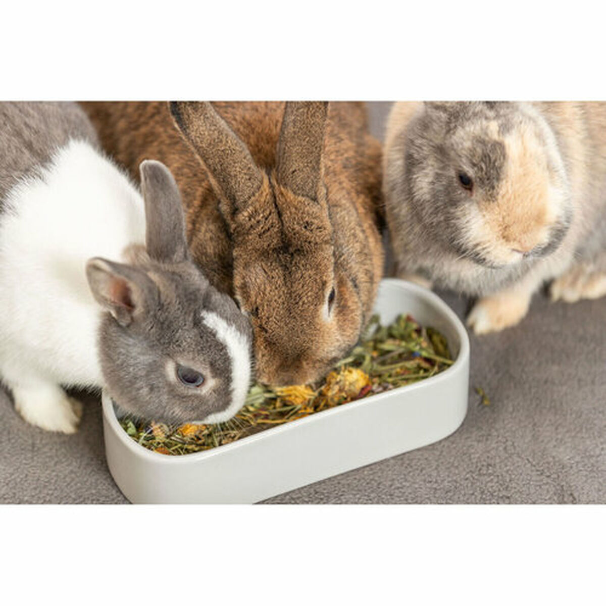 Comedero para Mascotas Trixie 600 ml