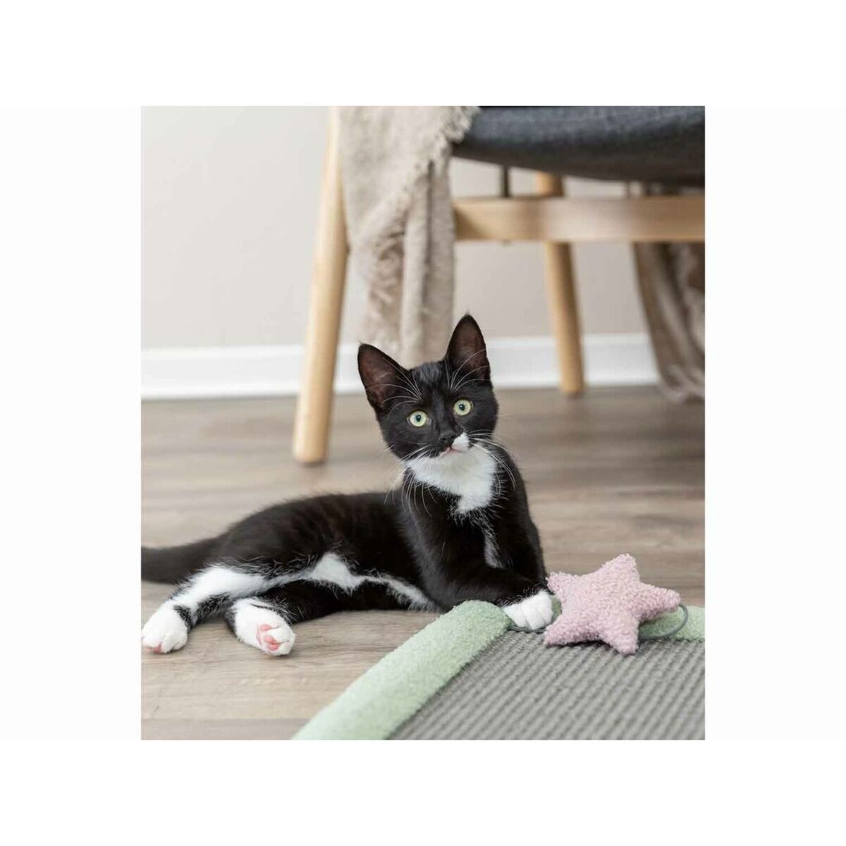 Rascador para Gatos Trixie Gris Menta 47 x 47 cm