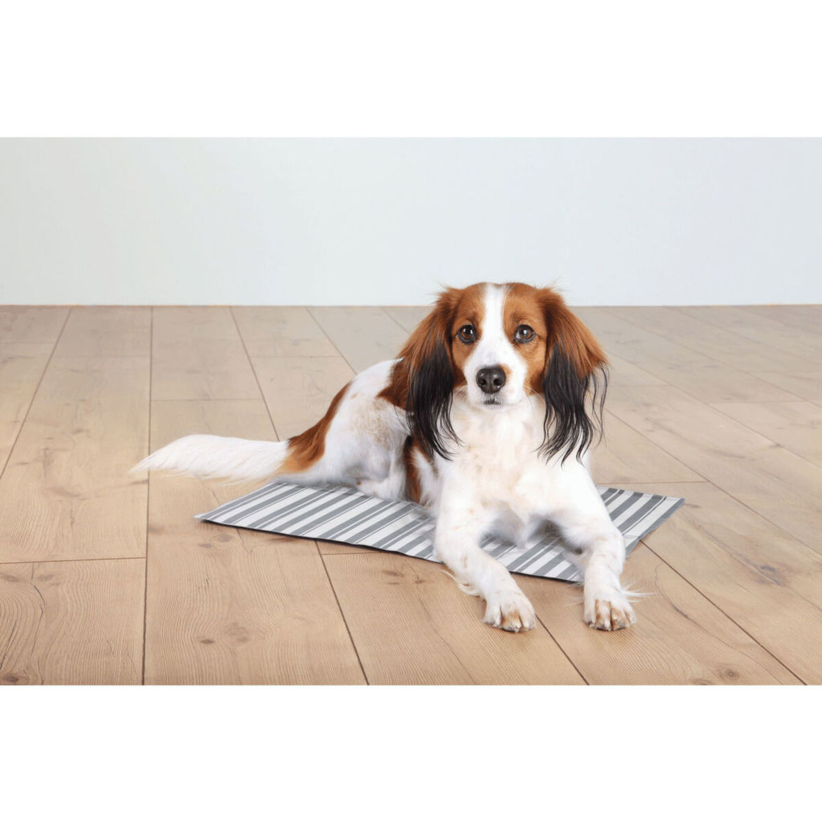 Alfombra para perros Trixie Blanco Gris Poliéster 65 × 50 cm Refrescante