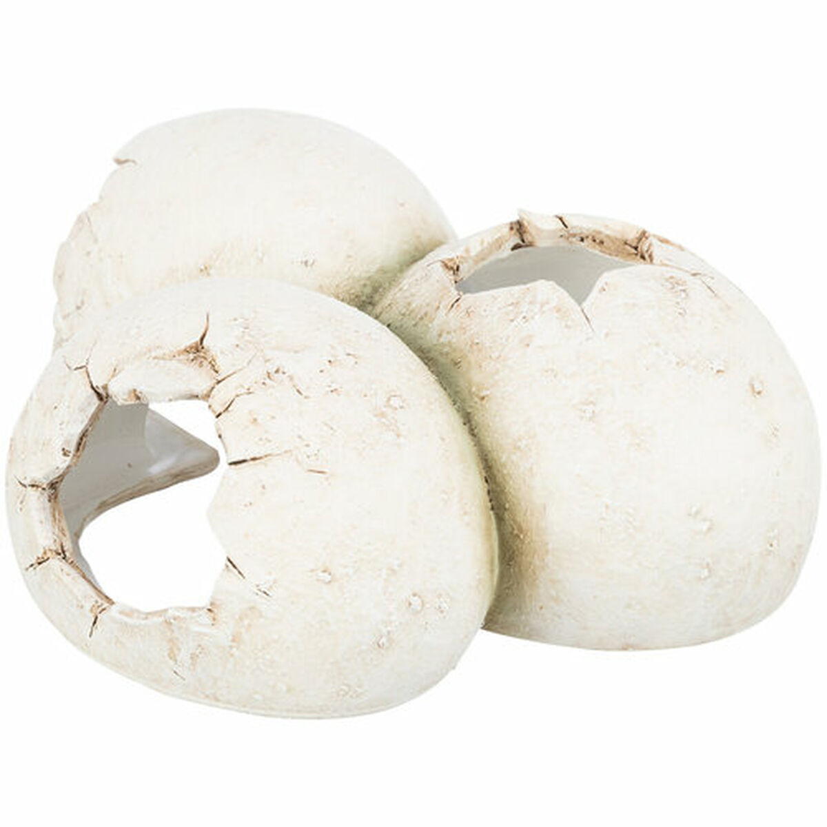 Cueva para reptiles Trixie Blanco