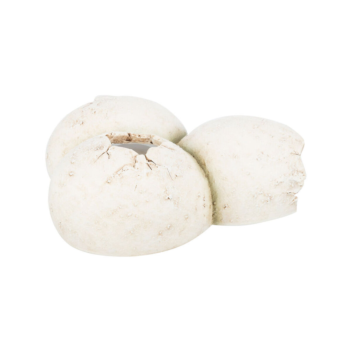 Cueva para reptiles Trixie Blanco