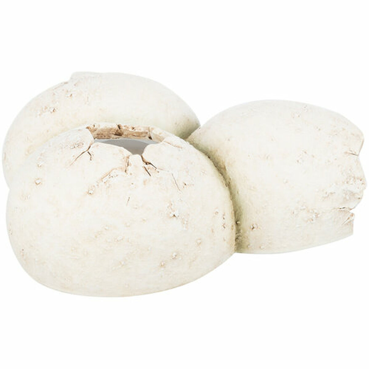 Cueva para reptiles Trixie Blanco