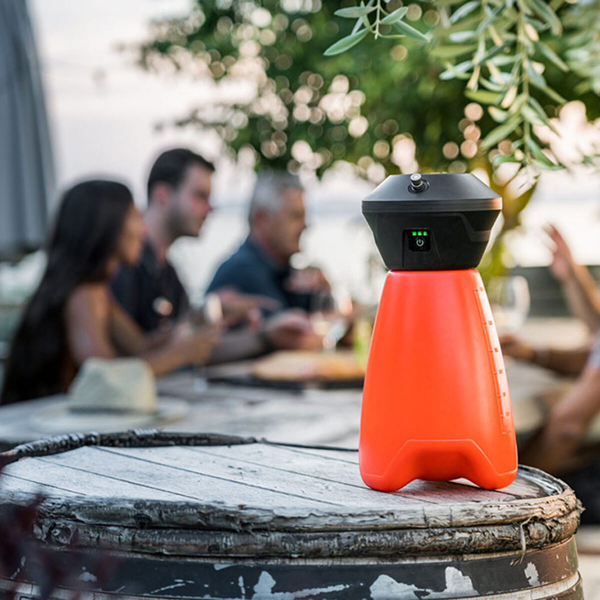 Pulverizador a Presión para Jardín Stocker 2 L