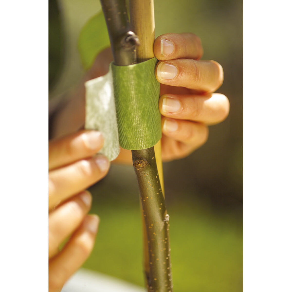 Bridas Velcro Velcro Verde