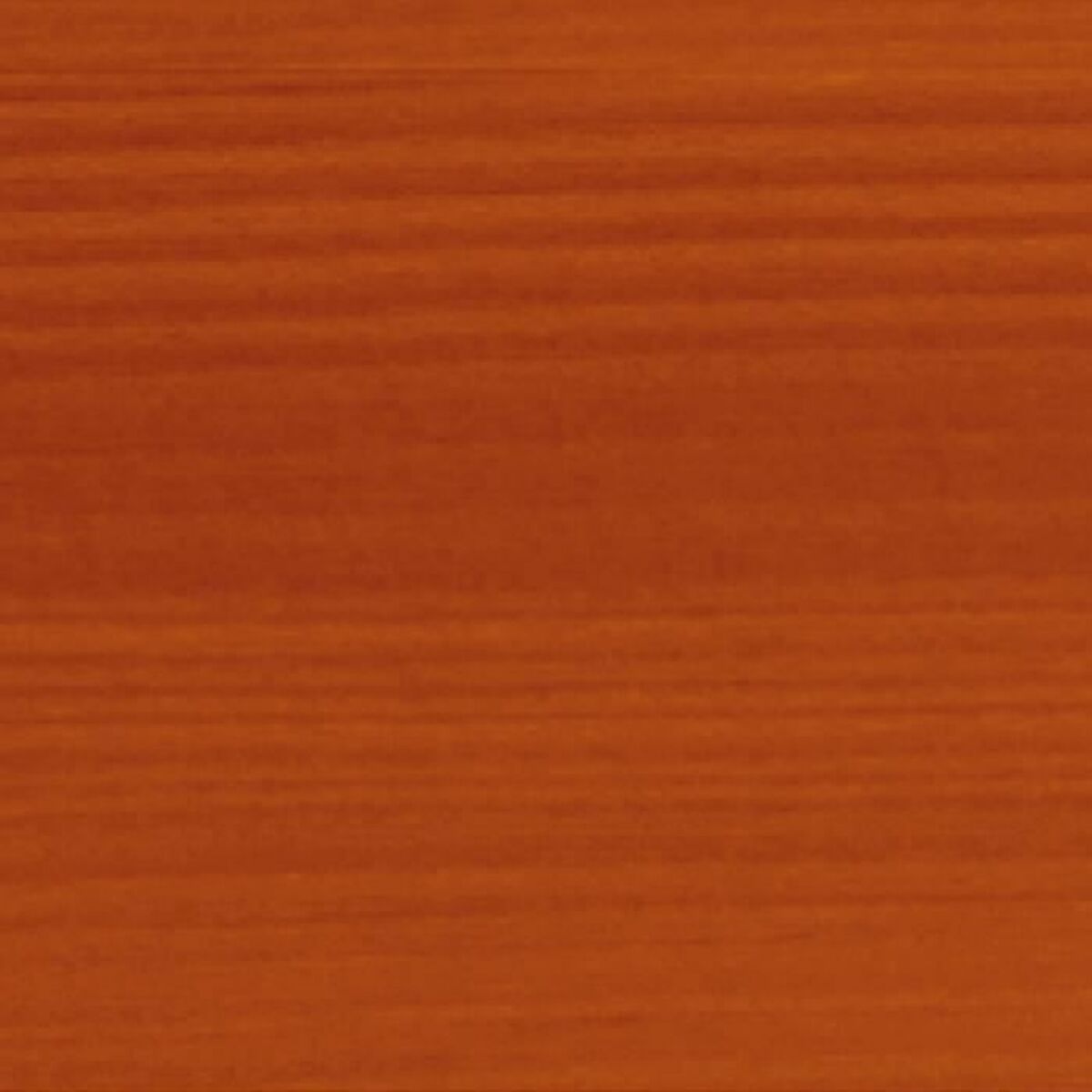 Pintura de Imprimación Bondex Mate 5 L