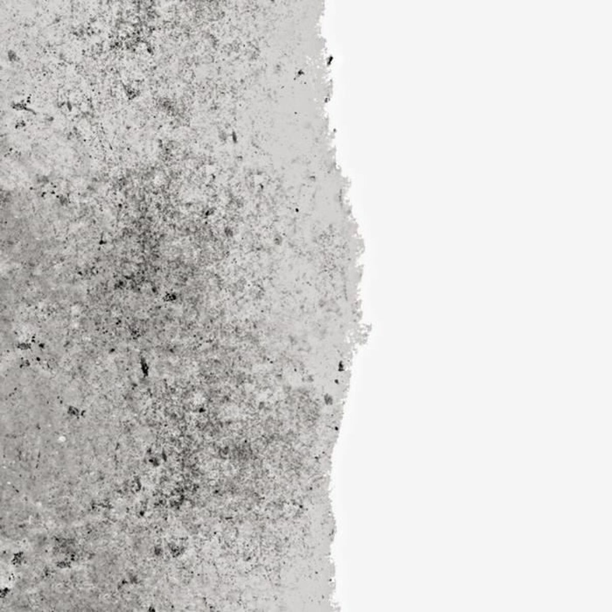 Pintura de Imprimación Ripolin Blanco Mate 2,5 L