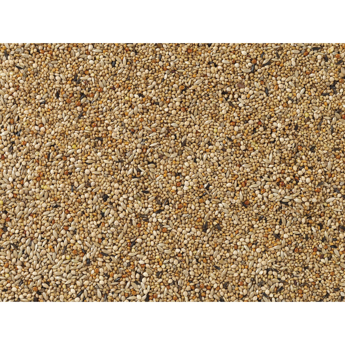 Comida para pájaros Deli Nature Premium 1 kg