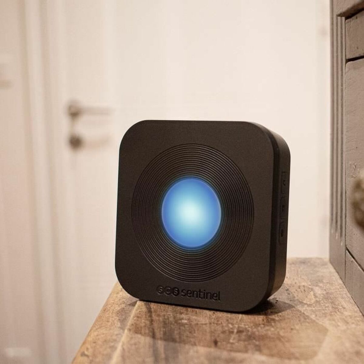 Videoportero Inteligente SCS SENTINEL