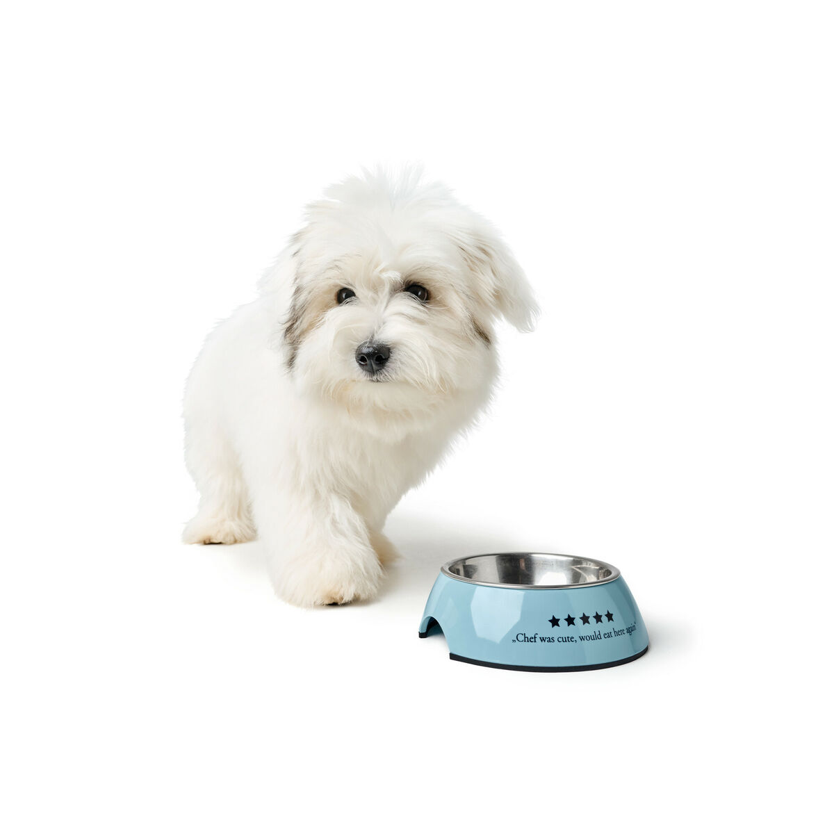 Comedero para Perro Hunter Mayfair Azul 700 ml