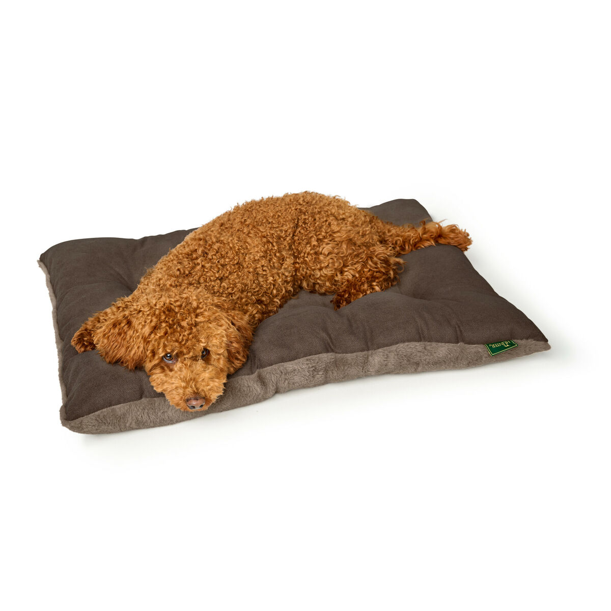 Cama para Perro Hunter Rockford Marrón 80x60 cm