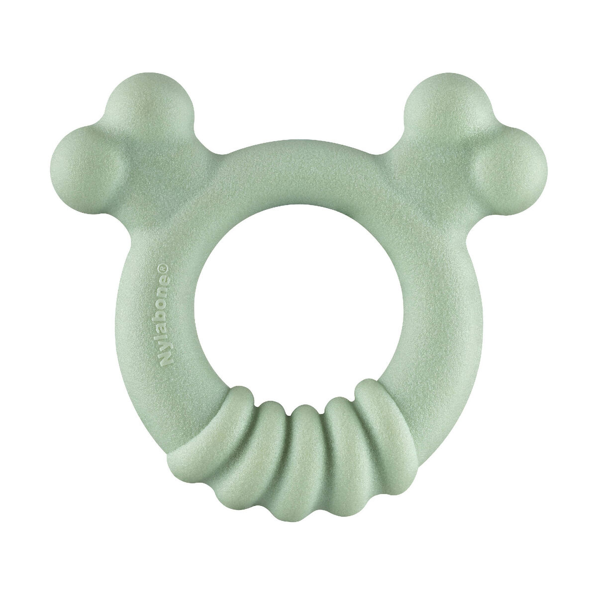 Mordedor de perro Nylabone SENSORY TACTILE RING Verde Manteca de cacahuete Pollo S